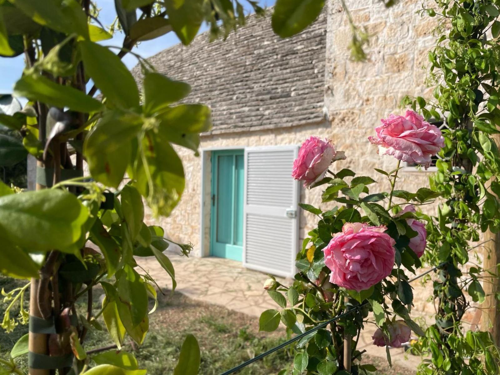 Faccia di Trippa di Monte Giardino Dei Trulli Cummerse מראה חיצוני תמונה
